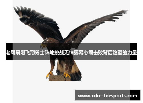 老鹰展翅飞翔勇士阵地挑战无情落幕心痛击败背后隐藏的力量 老鹰展翅飞翔勇士阵地挑战无情落幕心痛击败背后隐藏的力量