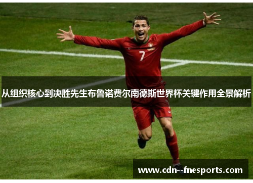 从组织核心到决胜先生布鲁诺费尔南德斯世界杯关键作用全景解析 从组织核心到决胜先生布鲁诺费尔南德斯世界杯关键作用全景解析